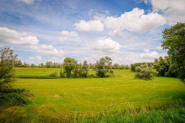 Foto 72 van Waalbandijk 11