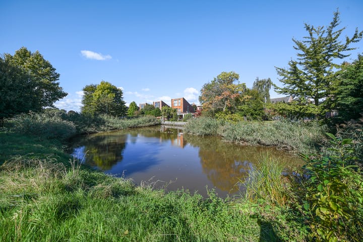 Photo 70 of Groenling 19