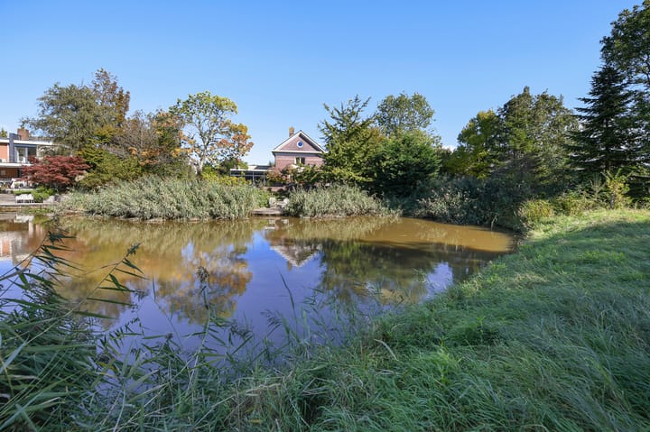 Photo 72 of Groenling 19