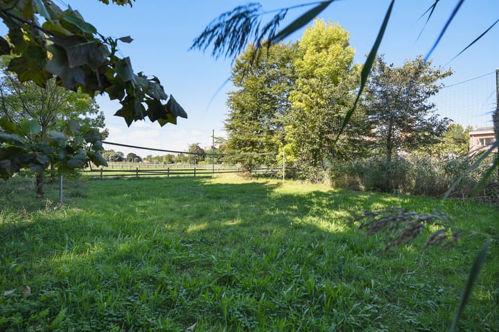 Photo 74 of Groenling 19