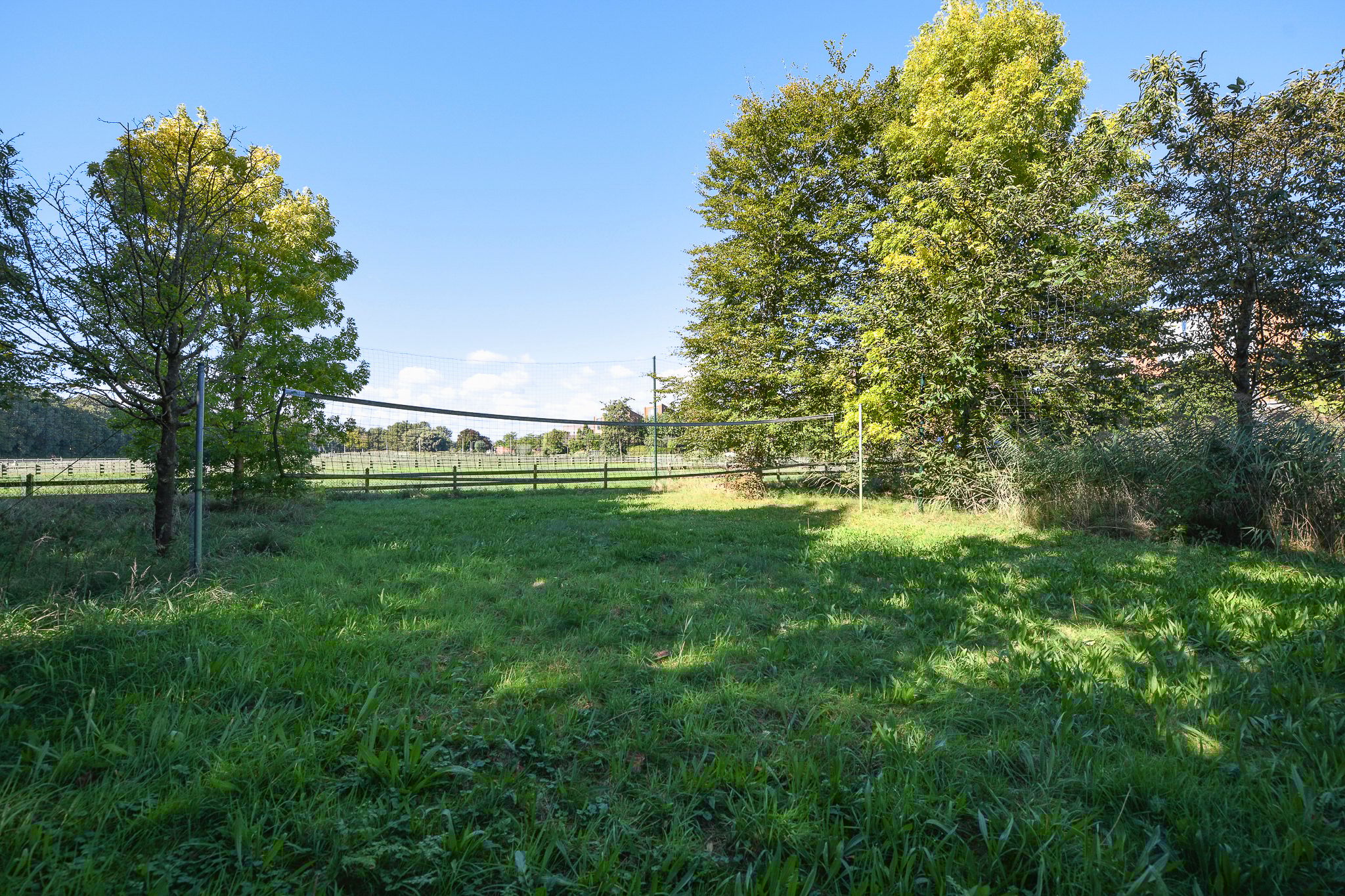 Foto 75 van Groenling 19