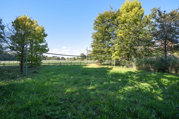 Photo 75 of Groenling 19