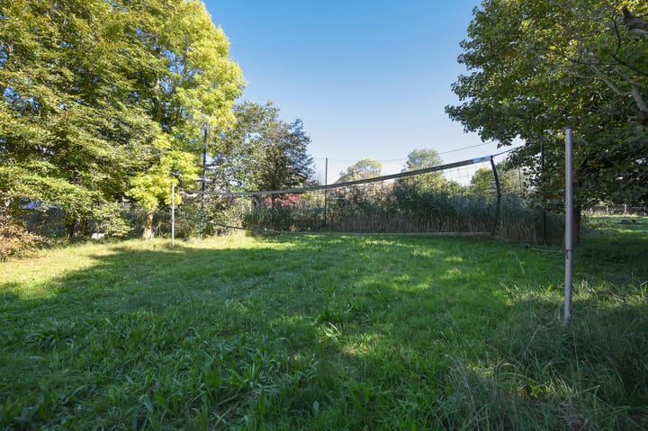 Photo 76 of Groenling 19