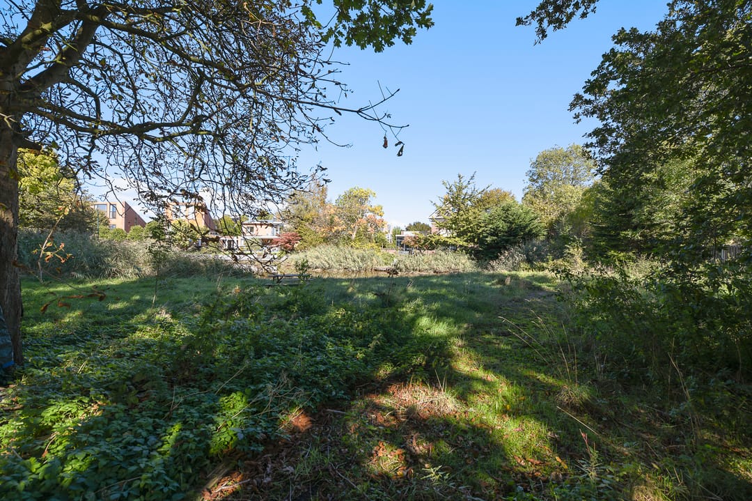 Foto 77 van Groenling 19