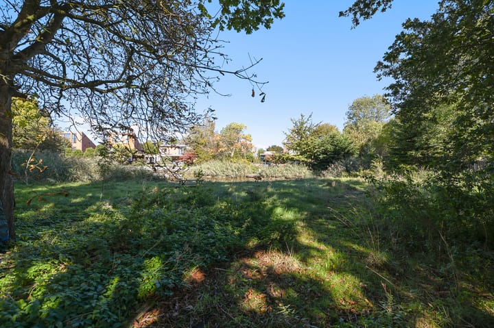 Photo 77 of Groenling 19