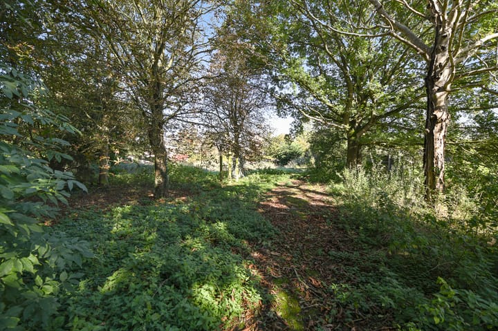 Photo 78 of Groenling 19