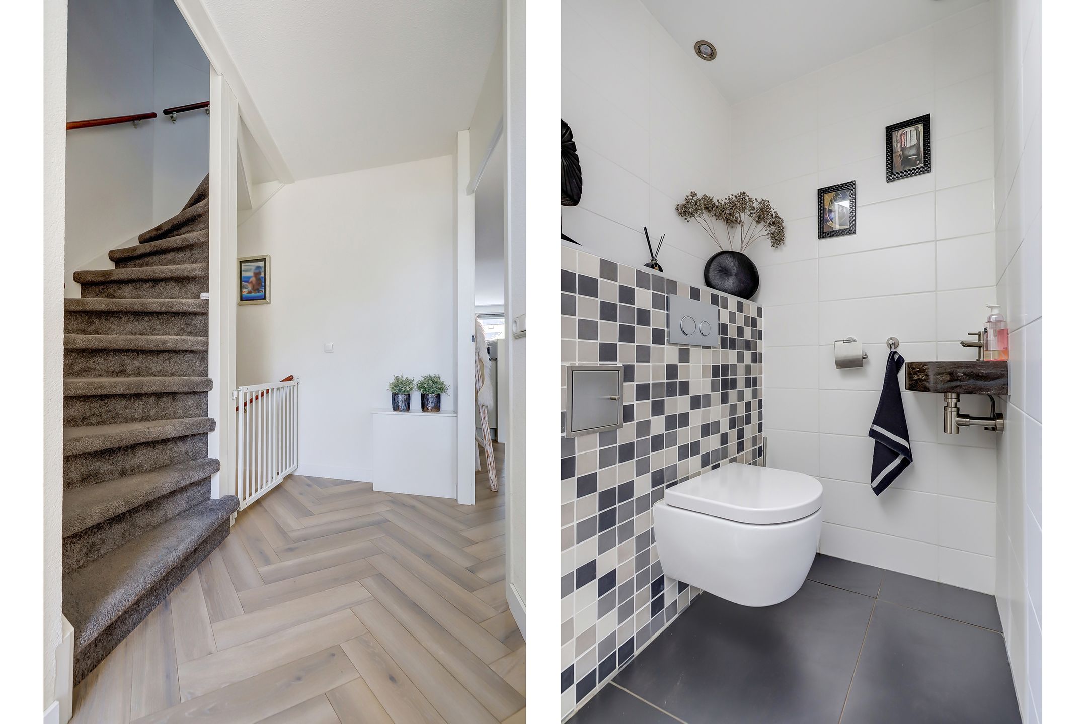 Foto 15 van Goudhaver 41