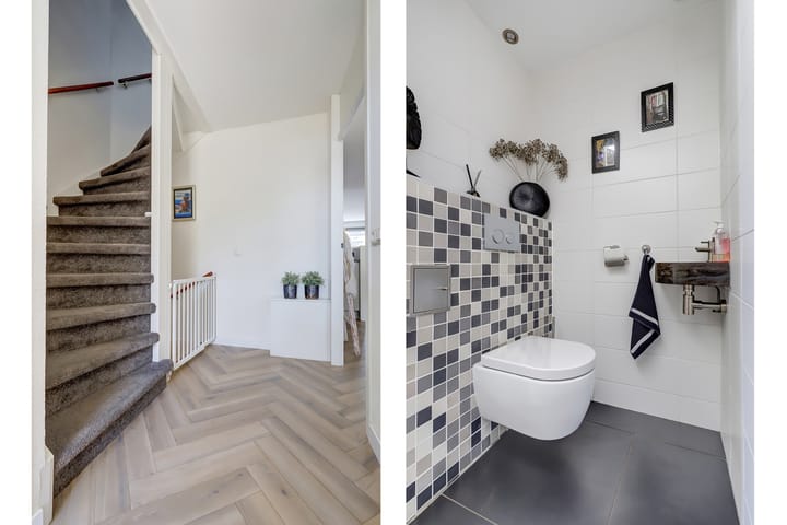 Foto 15 van Goudhaver 41