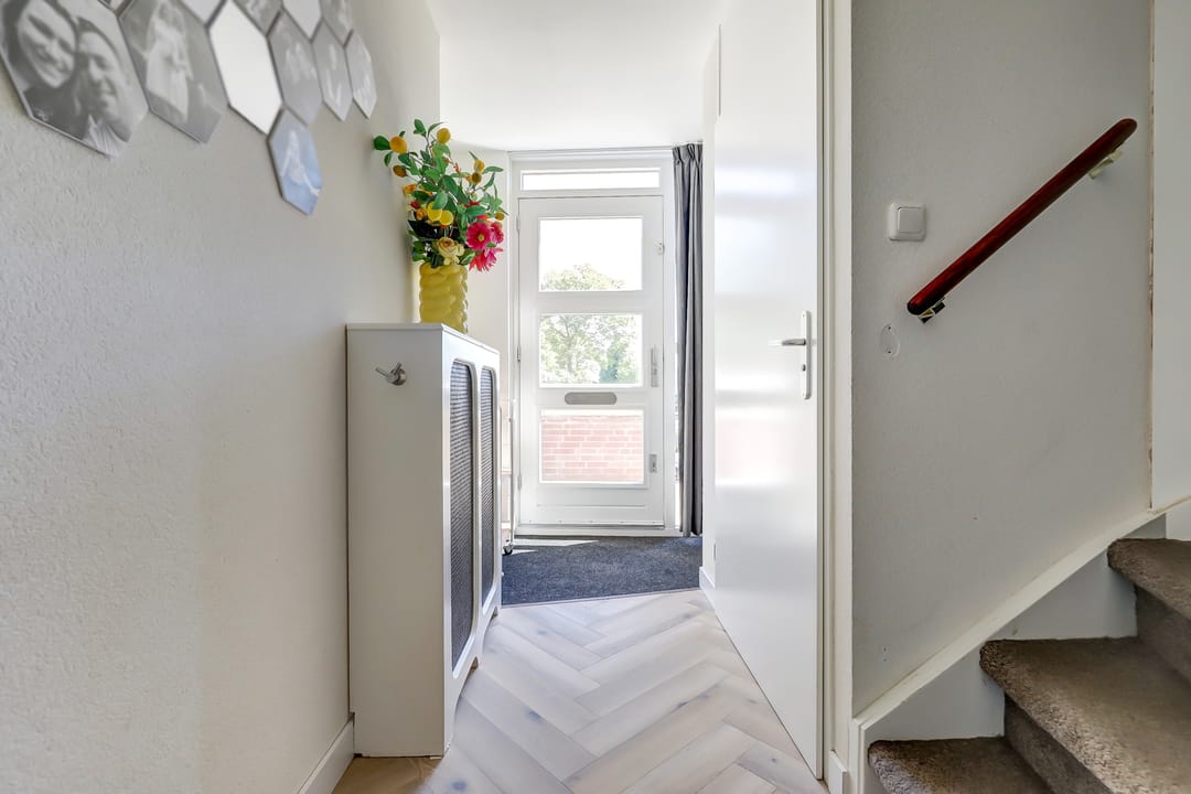 Foto 16 van Goudhaver 41