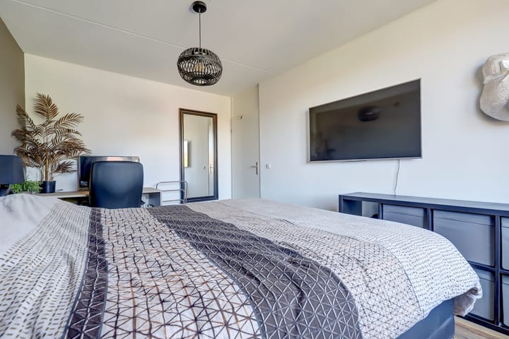 Foto 22 van Goudhaver 41