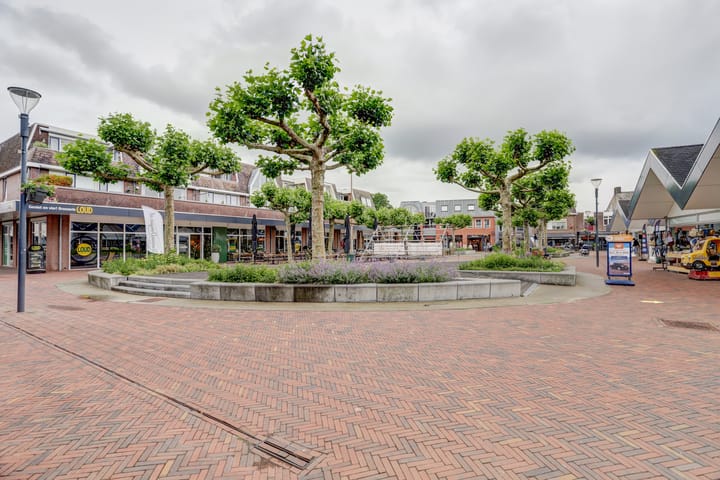 Foto 31 van Looiersplein 6