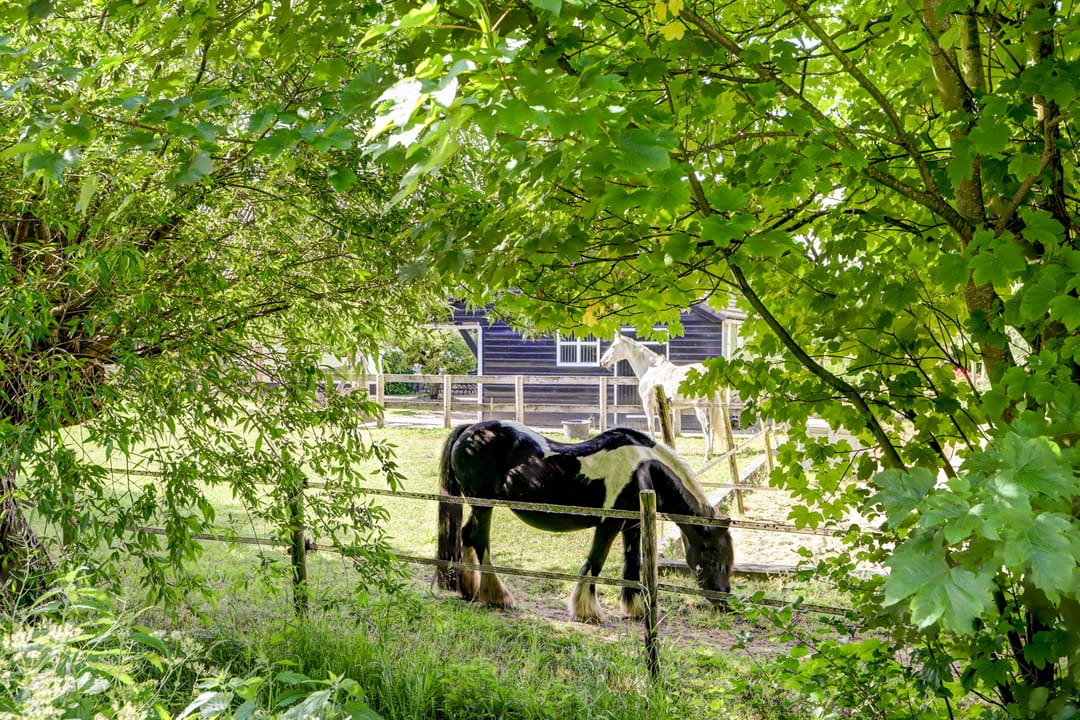 Photo 61 of Kerkeinde 14