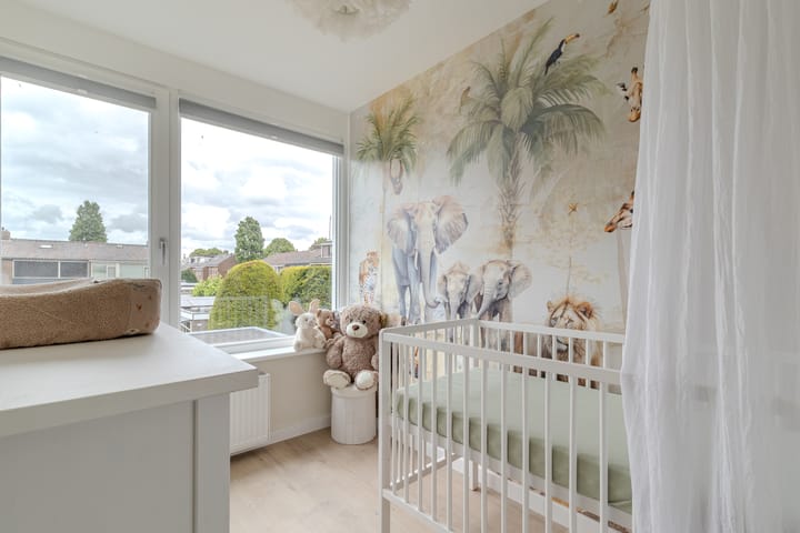 Foto 24 van Dokter Bonstraat 13