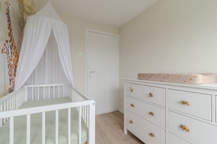 Foto 25 van Dokter Bonstraat 13