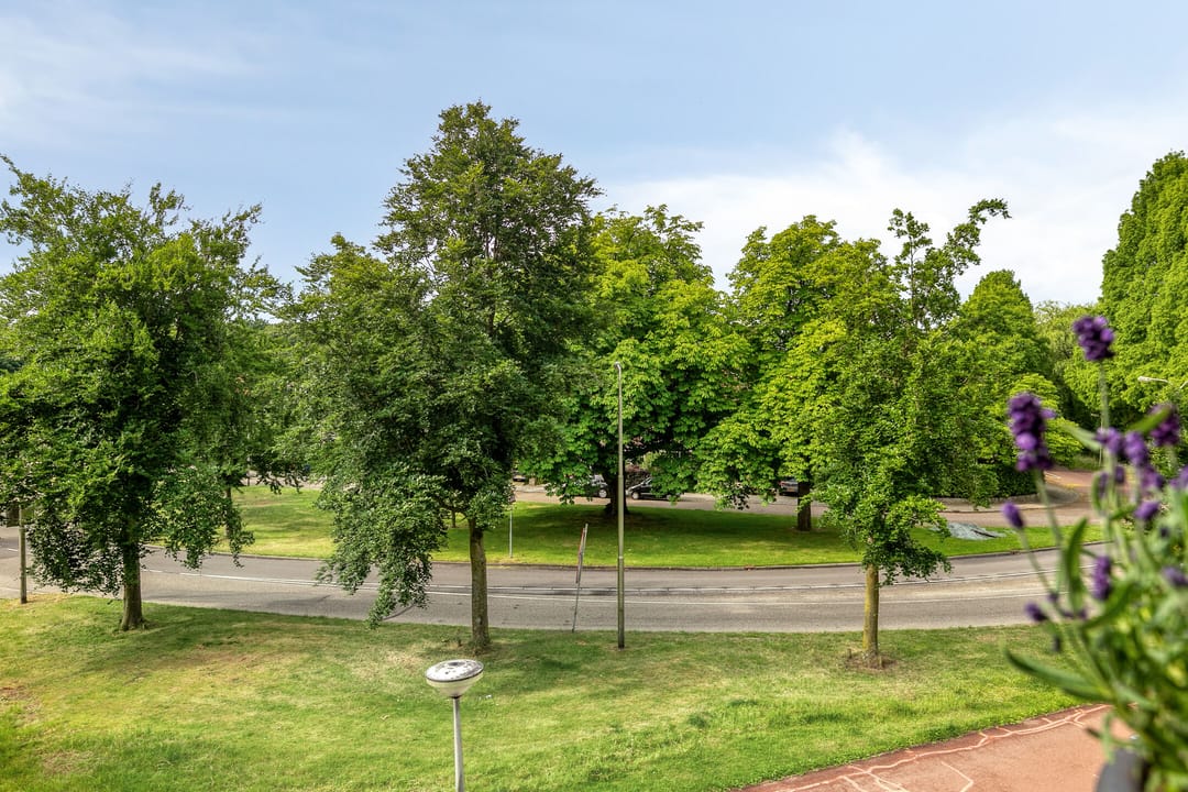 Foto 16 van Huzarenstraat 49