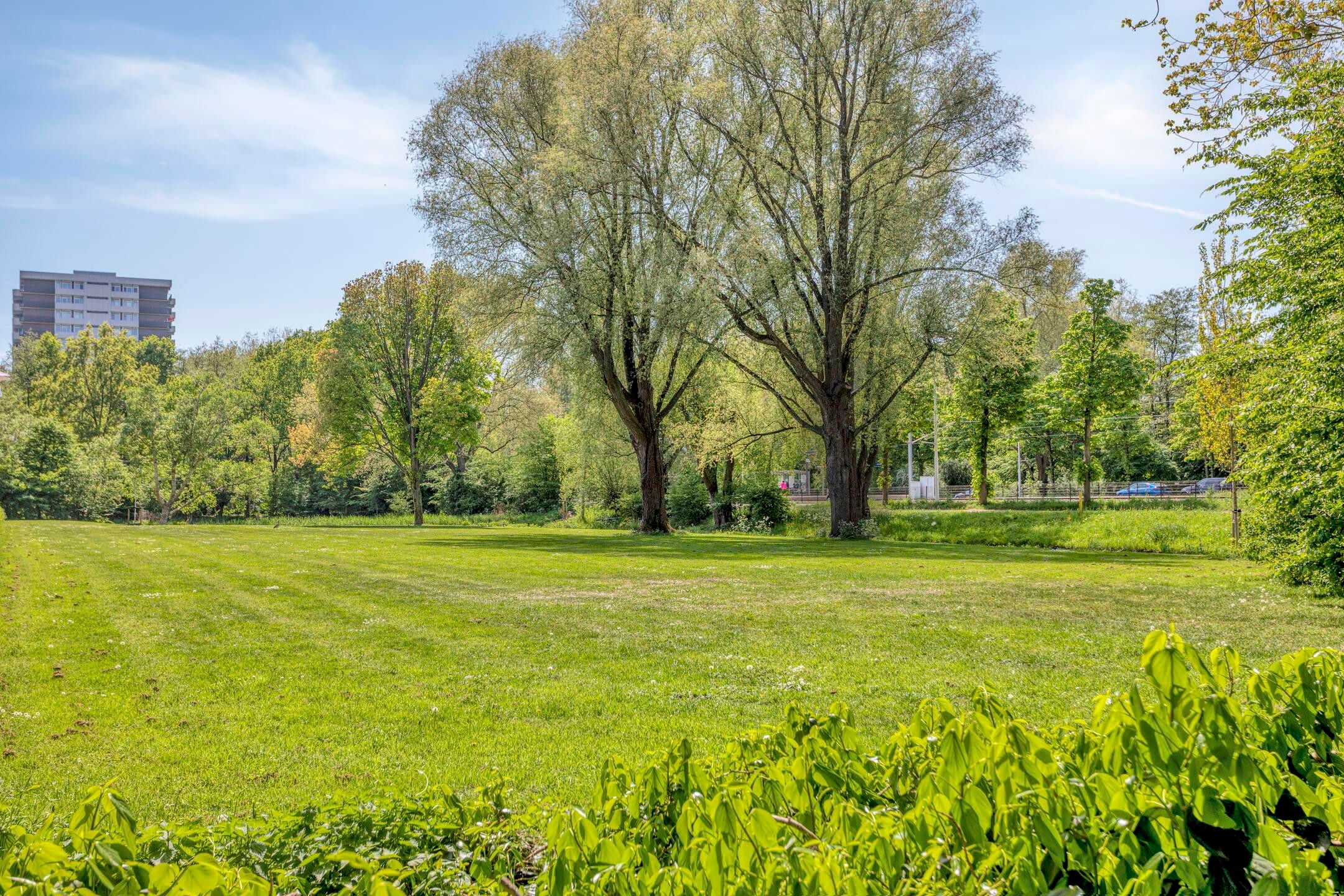 Foto 30 van Westelijk Halfrond 205