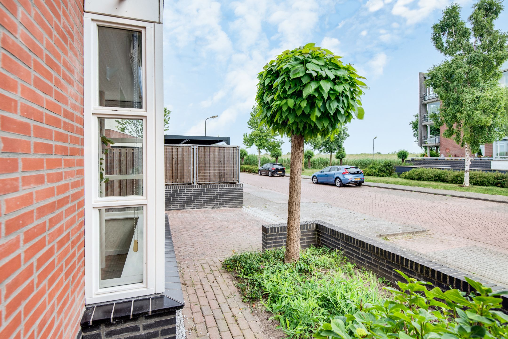 Foto 42 van Tarweakker 20