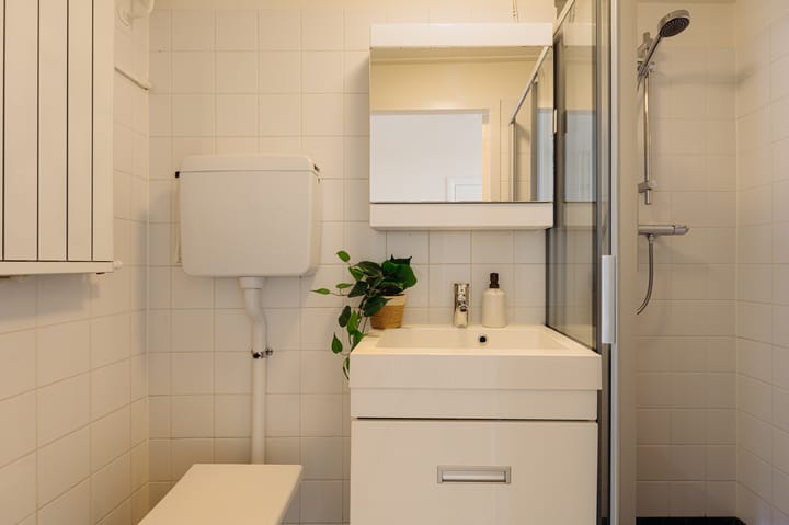 Foto 21 van Hoofdweg 253-2