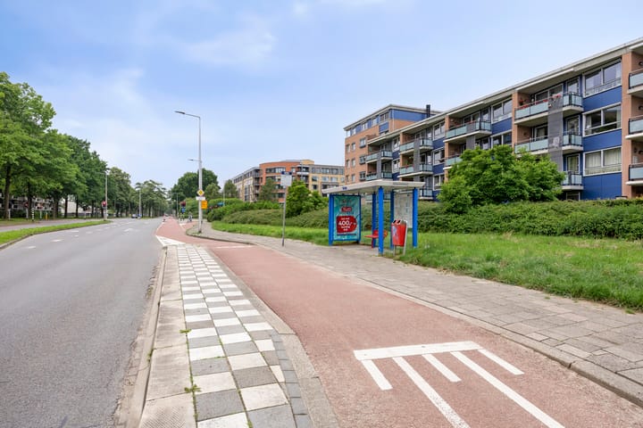 Photo 42 of Hulststraat 93