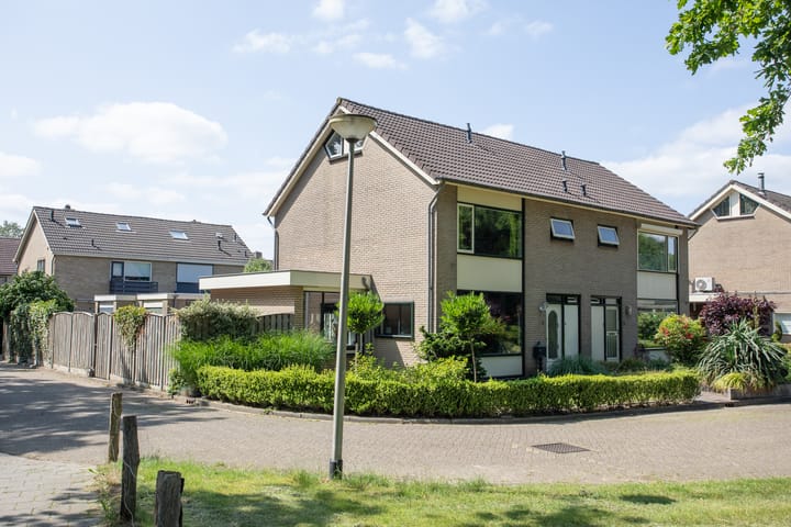 Wijnruitstraat 9