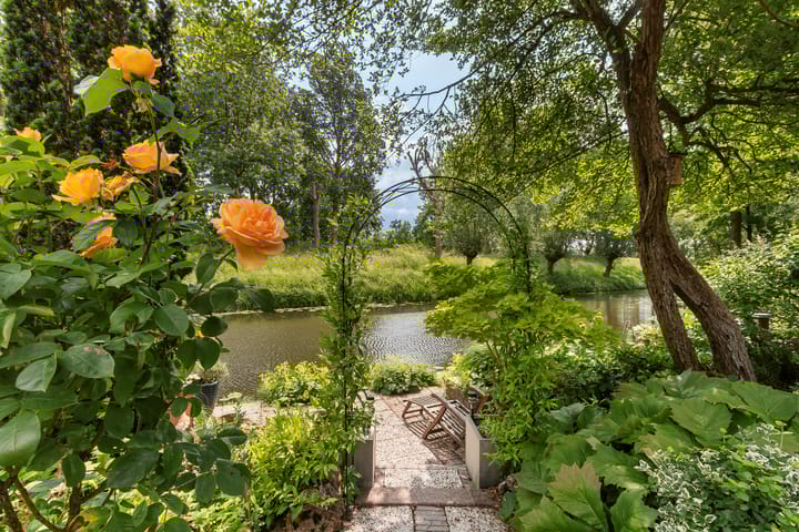 Foto 2 van Phoenixring 15