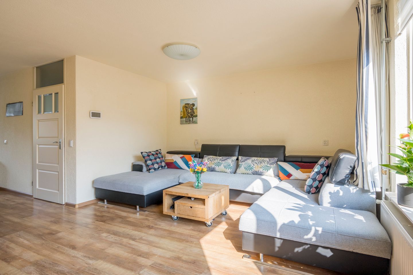 Photo 14 of Piccolopad 2