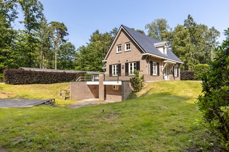 undefined main image