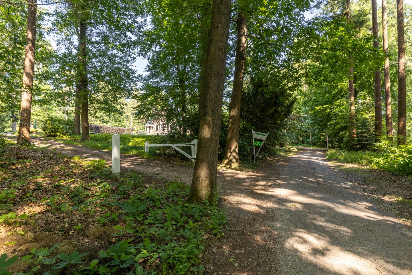 Foto 4 van Stakenberg 75