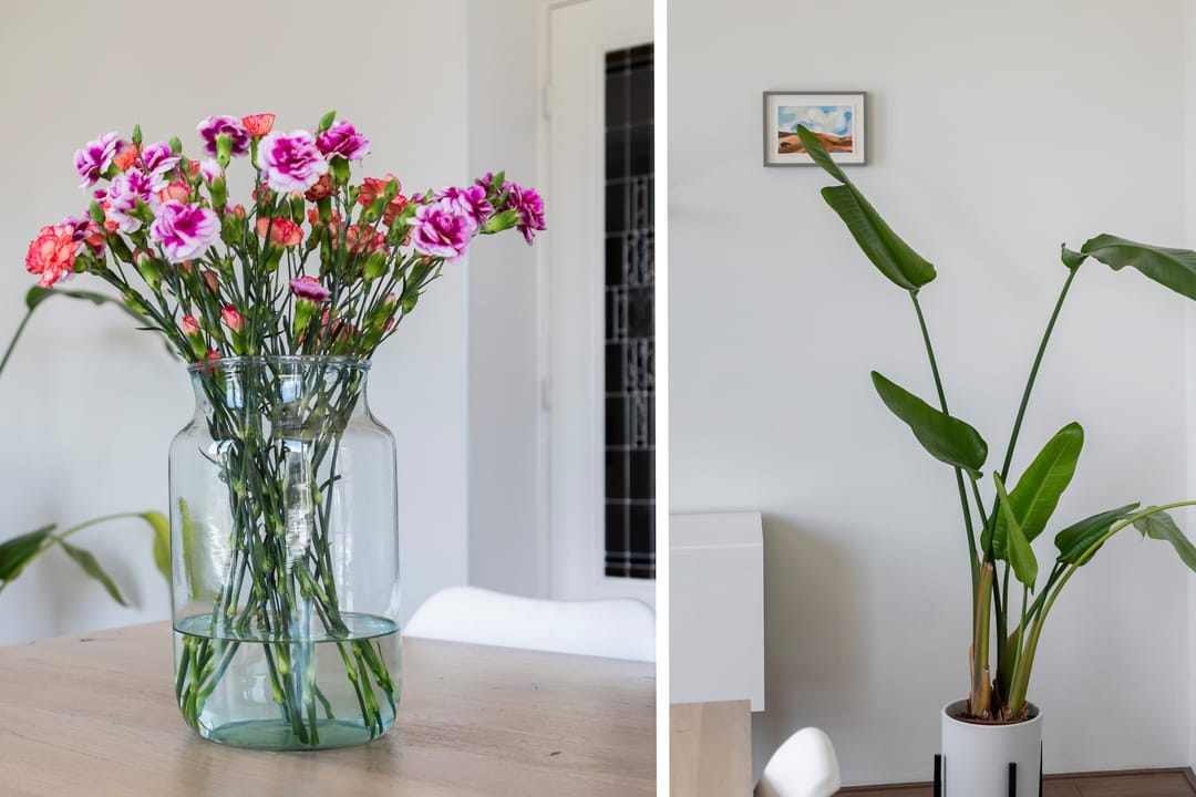 Foto 22 van Nolensstraat 47-D