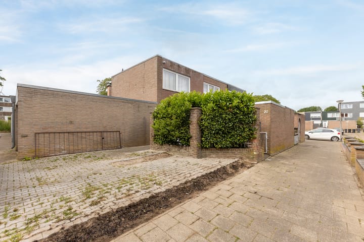 Foto 2 van Constantijn-Eik 20