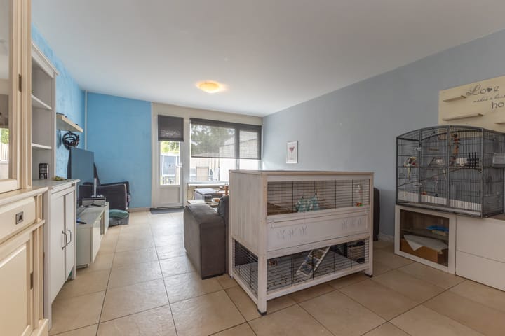 Foto 9 van Constantijn-Eik 20