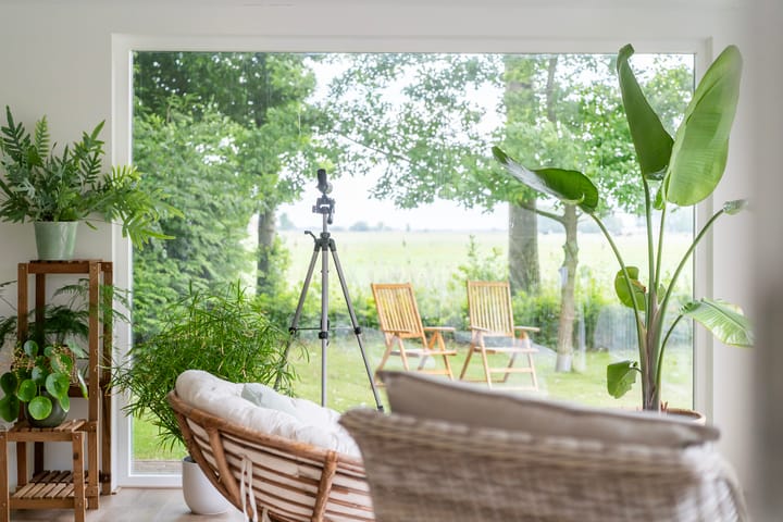 Photo 26 of Hoatse de Jongstrjitte 10