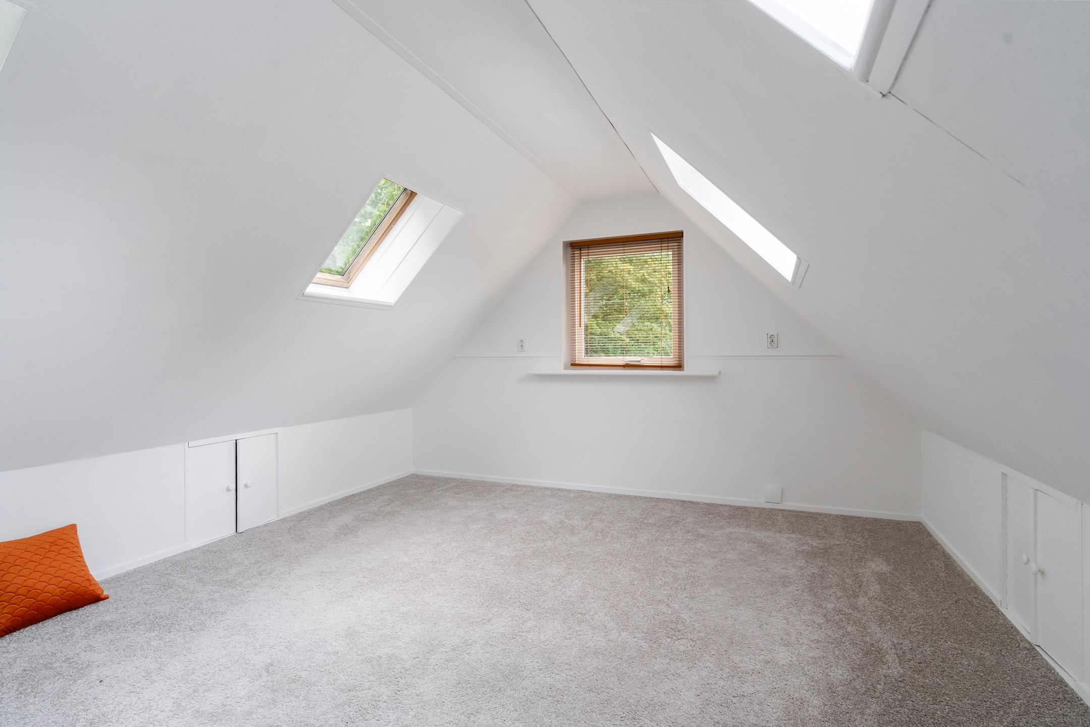 Photo 42 of Hoatse de Jongstrjitte 10