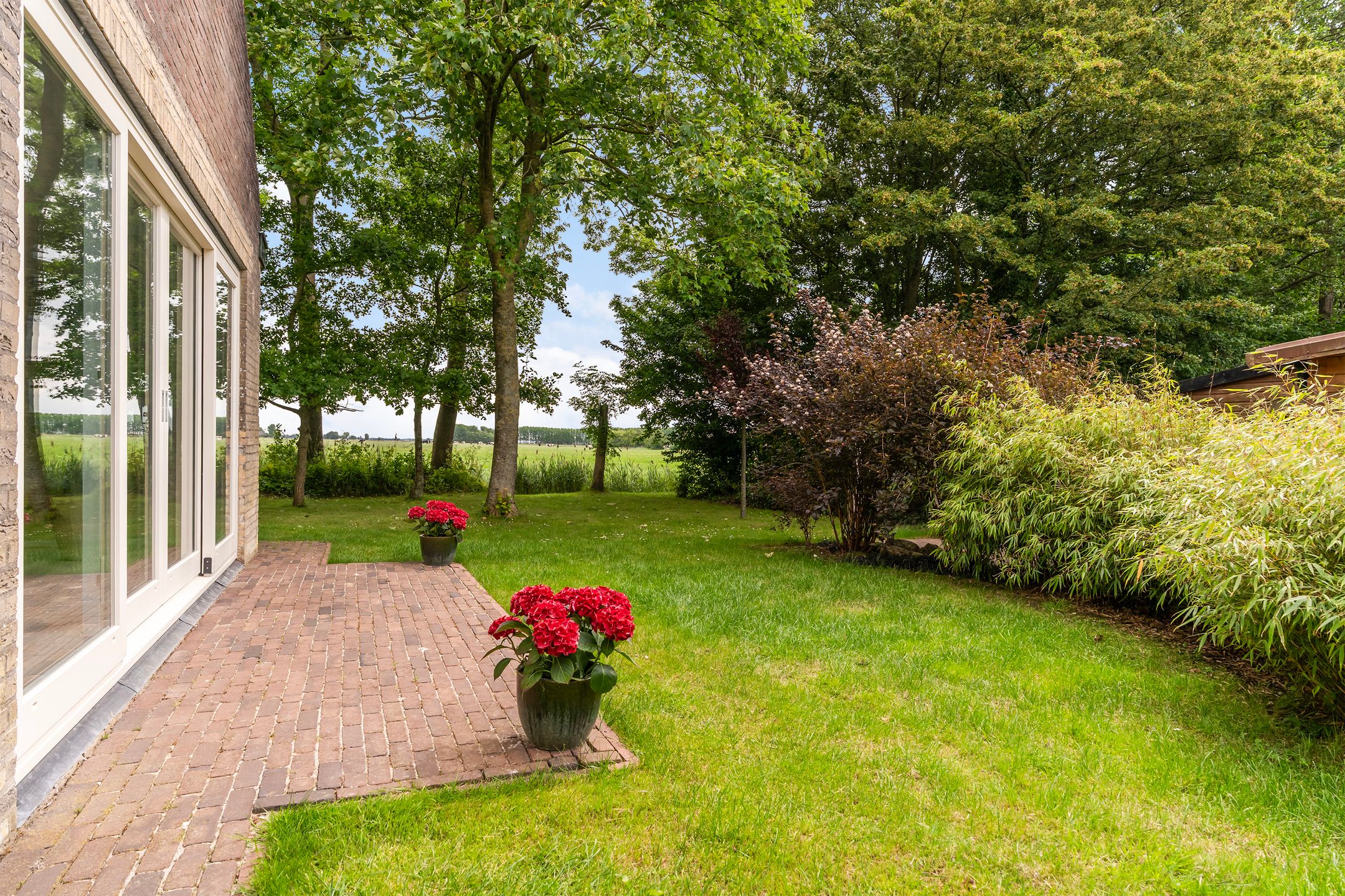 Photo 51 of Hoatse de Jongstrjitte 10