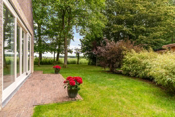 Photo 51 of Hoatse de Jongstrjitte 10