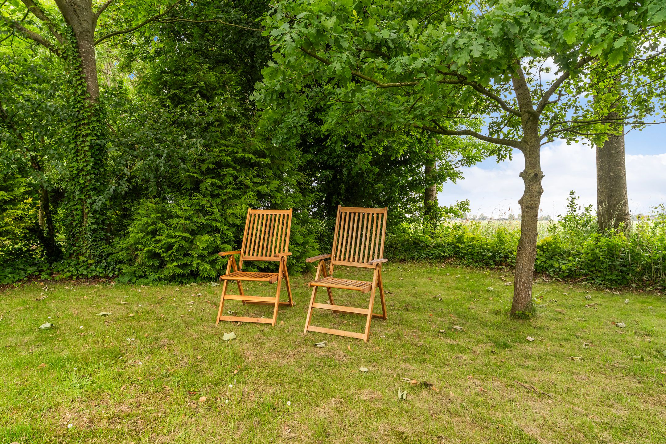 Photo 54 of Hoatse de Jongstrjitte 10