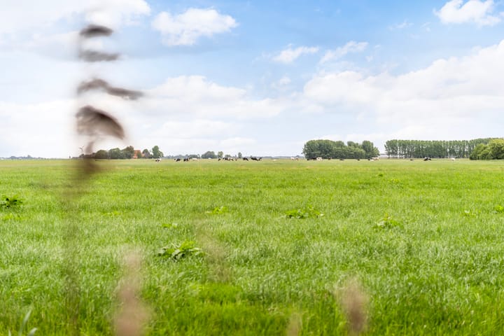 Photo 55 of Hoatse de Jongstrjitte 10