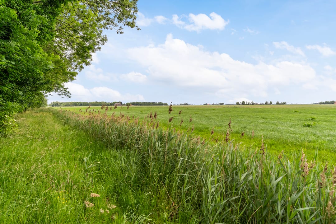 Photo 56 of Hoatse de Jongstrjitte 10