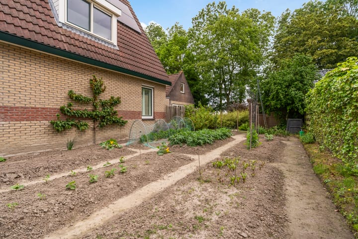 Photo 59 of Hoatse de Jongstrjitte 10