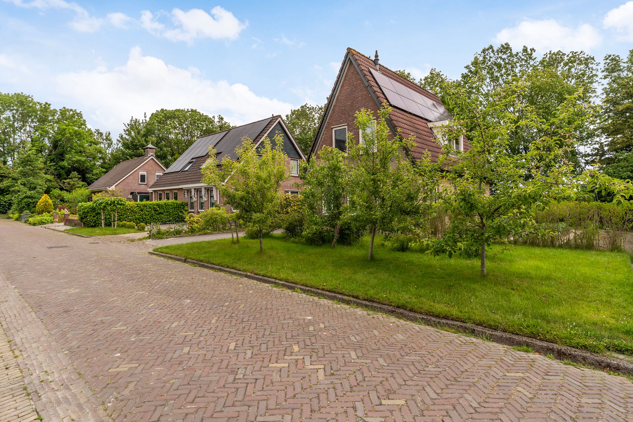 Photo 63 of Hoatse de Jongstrjitte 10