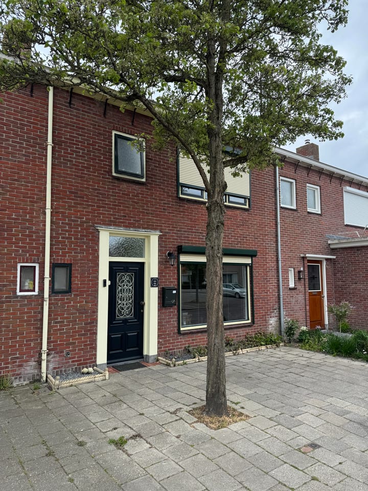 undefined main image