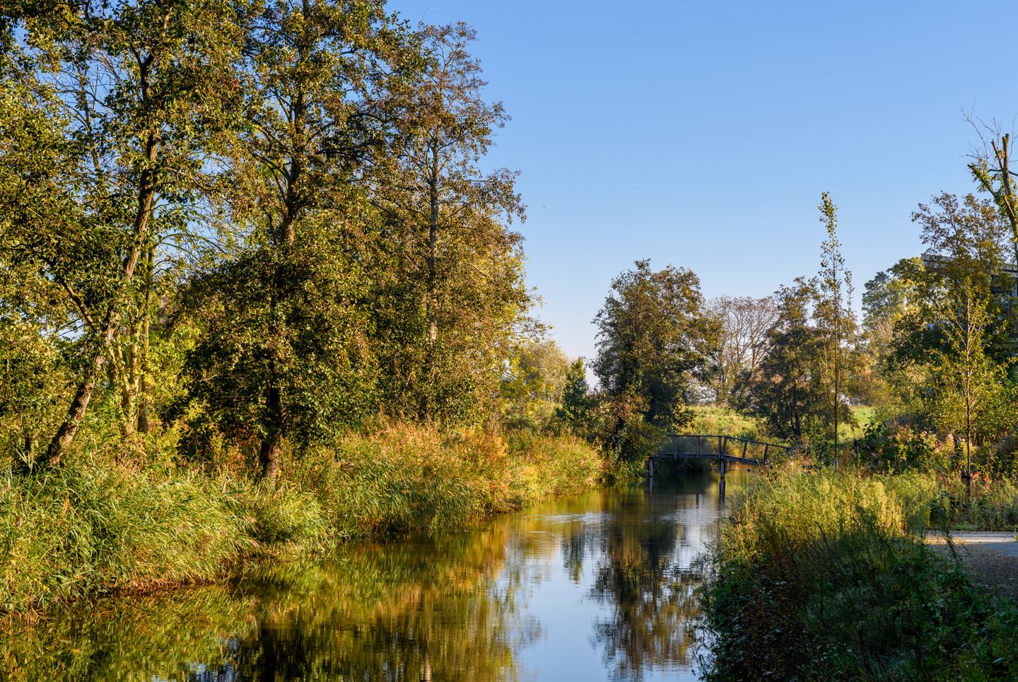 Foto 10 van De Eilanden - Rietgedekte Fase 2 (Bouwnr. 21)