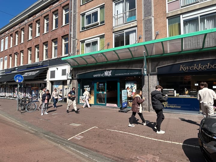 Ferdinand Bolstraat 117, Amsterdam