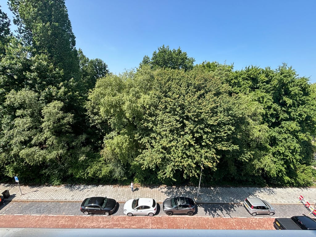 Foto 15 van Rozenoord 39