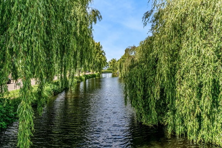 Foto 31 van de Hoeve 21