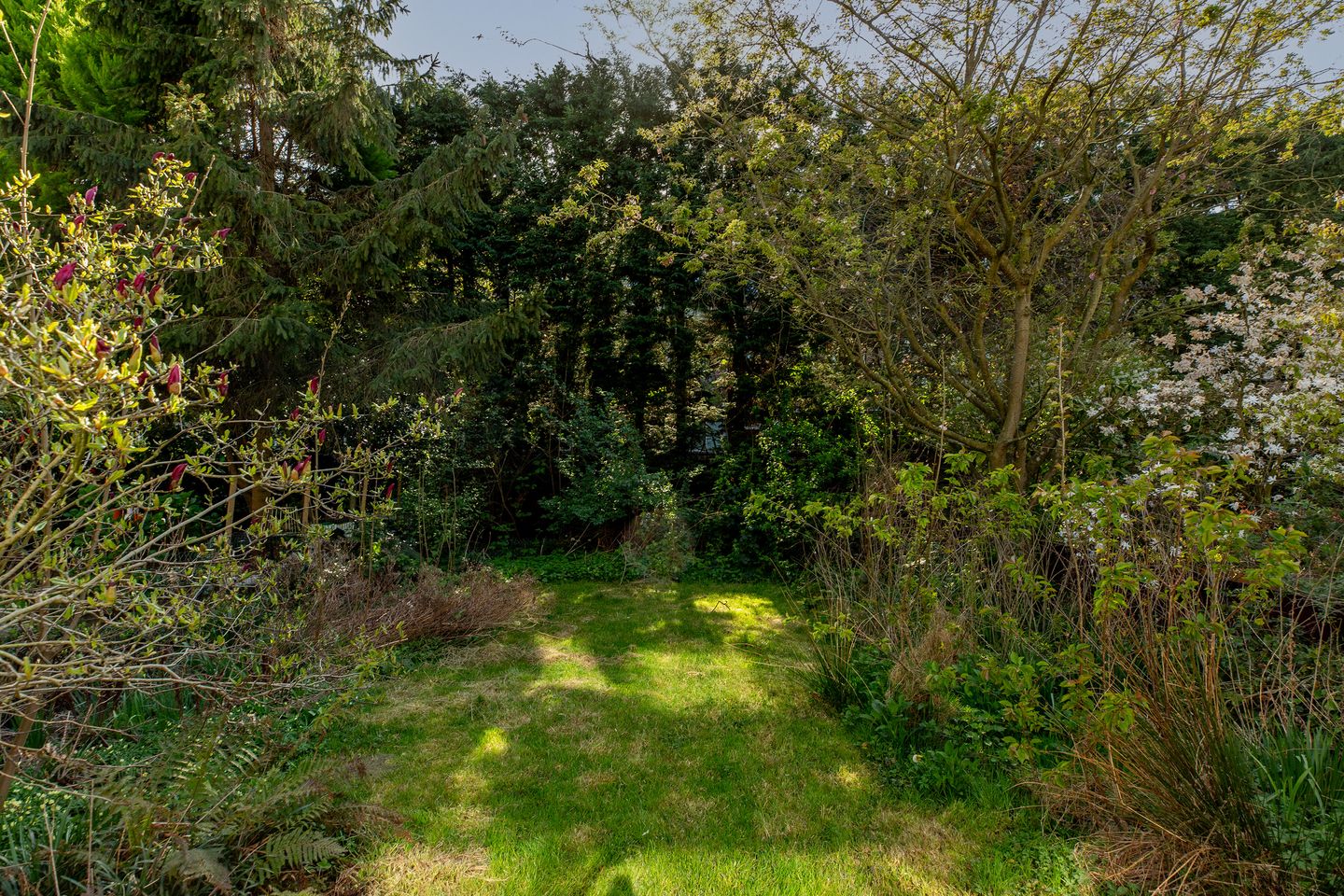 Photo 35 of Albert Cuijpstraat 18