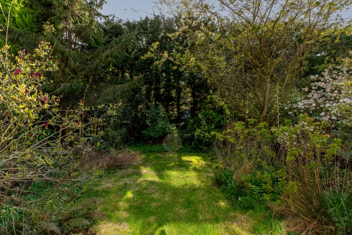 Foto 35 van Albert Cuijpstraat 18