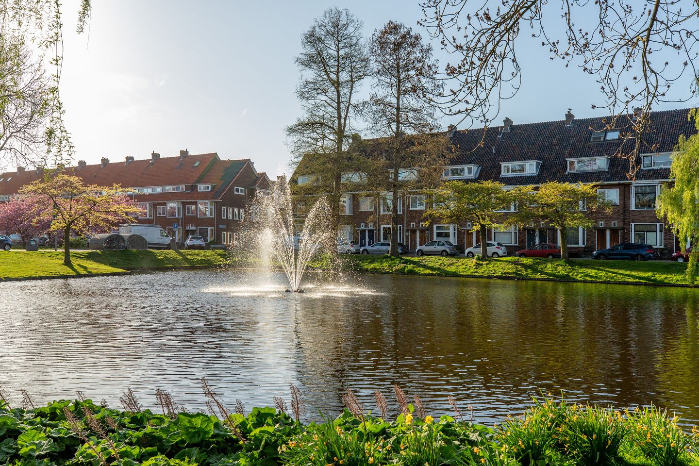 Photo 40 of Albert Cuijpstraat 18