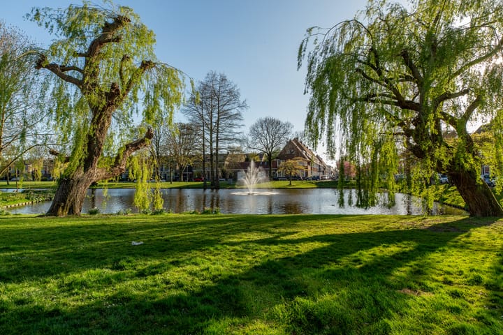 Foto 43 van Albert Cuijpstraat 18