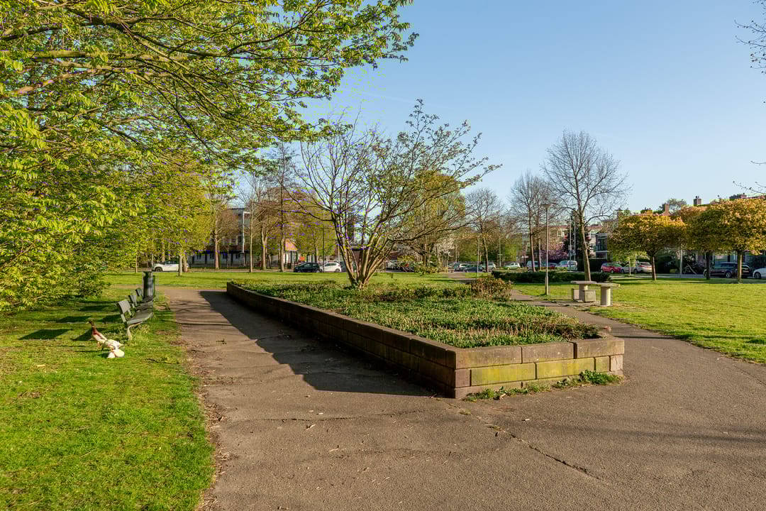 Photo 47 of Albert Cuijpstraat 18